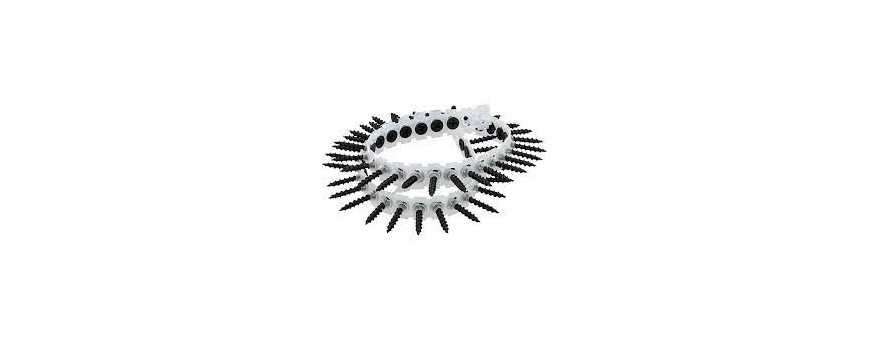 Strip screw